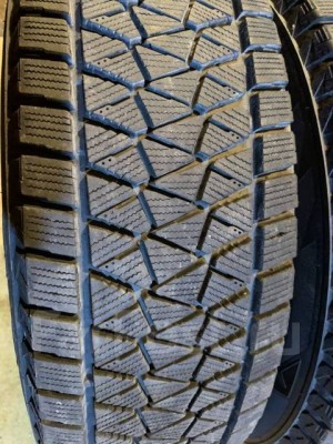 Bridgestone Blizzak DM-V2