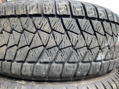 Bridgestone Blizzak DM-V2