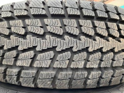 Toyo Winter Tranpath S1